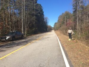 A Hall County deputy stands at the site on Pea Ridge Road where Freeman was killed. Freeman was less than two miles from home when the accident happened.