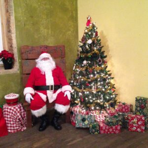 Santa paid a visit to Mt. Airy during the town's annual Christmas tree lighting on December 11, 2014.