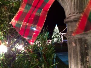 Trees, wreaths and lights adorn the Clarkesville square. This year's lights are more plentiful and beautiful than ever. 