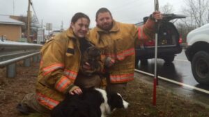 Animal control officers Madi Hawkins, Wayne Higgins, Norm and 'Piper.'