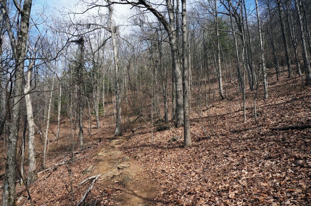 trail from woody gap