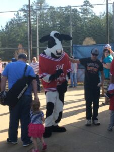 sports-little league opening