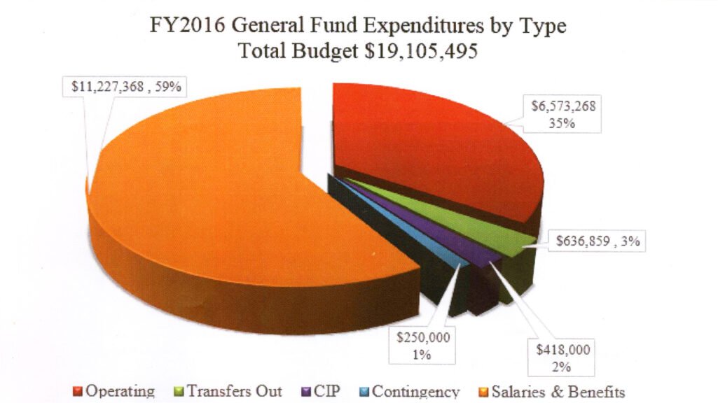 Now Habersham County Budget General Fund Breakdown Pie Chart