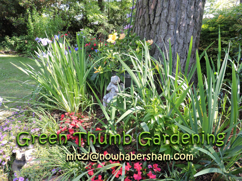 Is there a gardener on your Christmas list?