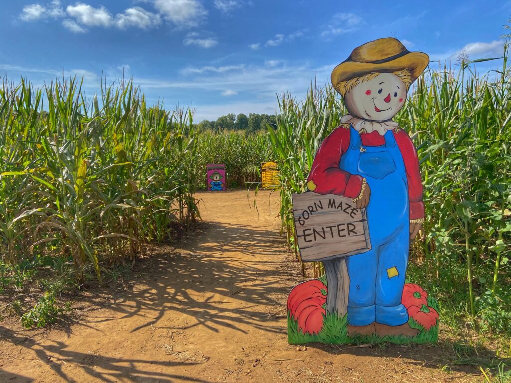 Dawson’s fall delights: Pumpkin patches, spooky stories, and moonshine