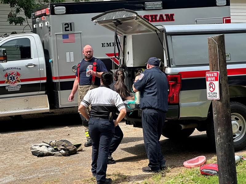 Family pets die in Habersham County house fire Now Habersham