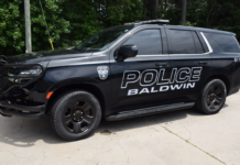 Police warn residents after injured bear flees crash in Baldwin