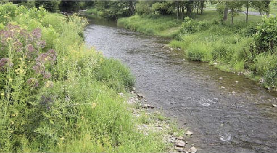 Farmers in White County are eligible for grants for riparian restoration and pollinator support