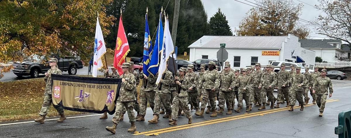 Veterans day google pic