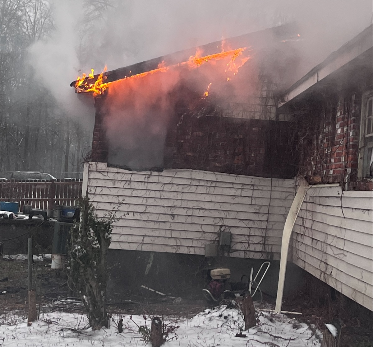 Firefighters rescue family dog from Gainesville house fire - Now Habersham