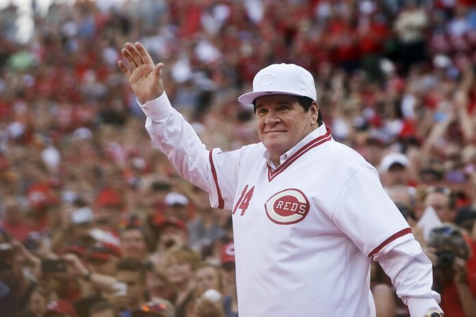 Rose Jackson Reinstated Baseball
