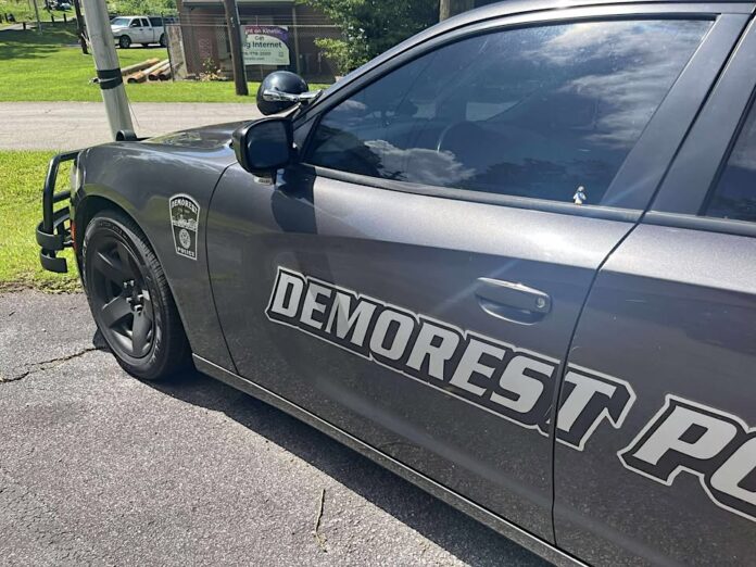 little Jesus figurine on Demorest Police car