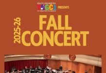 Youth Orchestra still going strong after 33 years