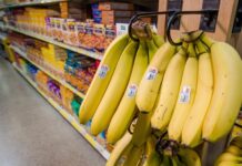 Democratic AGs, governors sue Trump over SNAP benefits as shutdown hits day 28