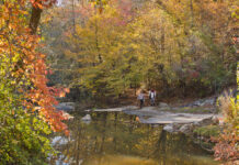 Leaf-watching? It’s ‘peak week’ for these Top 10 Georgia State Parks