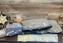 Two arrested, over four pounds of marijuana seized in White County drug investigation