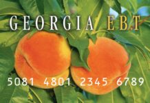 Georgia SNAP payments still in limbo
