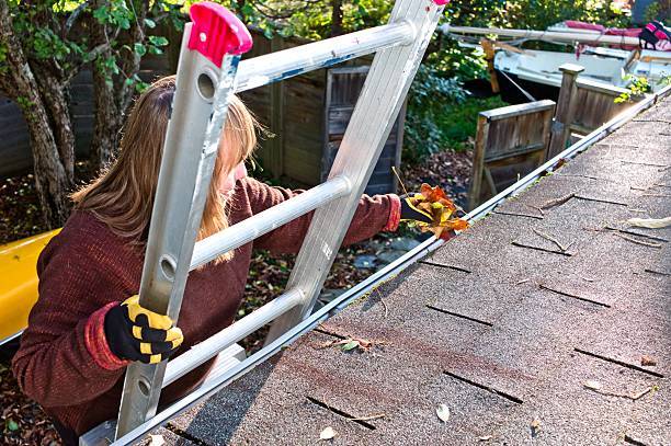 Cleaning for the holidays? Don’t forget your roof and gutters 