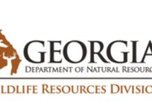 Georgia Department of Natural Resources has gift ideas