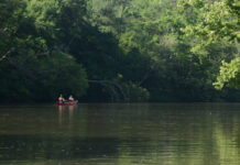 Massive Burt Jones-backed project among wave of data centers proposed for Georgia