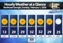Northeast Georgia Daily Forecast