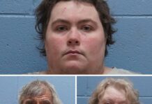 Three charged with animal cruelty in Lee County