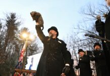 Punxsutawney Phil prepares to issue his Groundhog Day weather verdict from Gobbler’s Knob