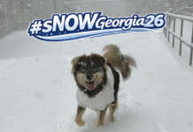 #sNOWGeorgia26 – Our favorite photos!